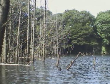 ルアーでバスフィッシング 片倉ダムで秋のバス釣り 笹川湖